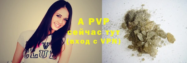 a pvp Гусев