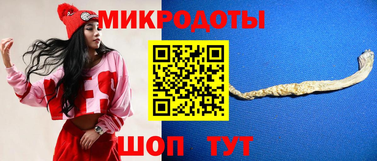 Галлюциногенные грибы прущие грибы Кизляр