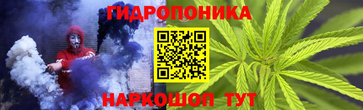 Бошки Шишки конопля  Канабис сатива  Каннабис семена  Кизляр  Вход с VPN  Каннабис марихуана 